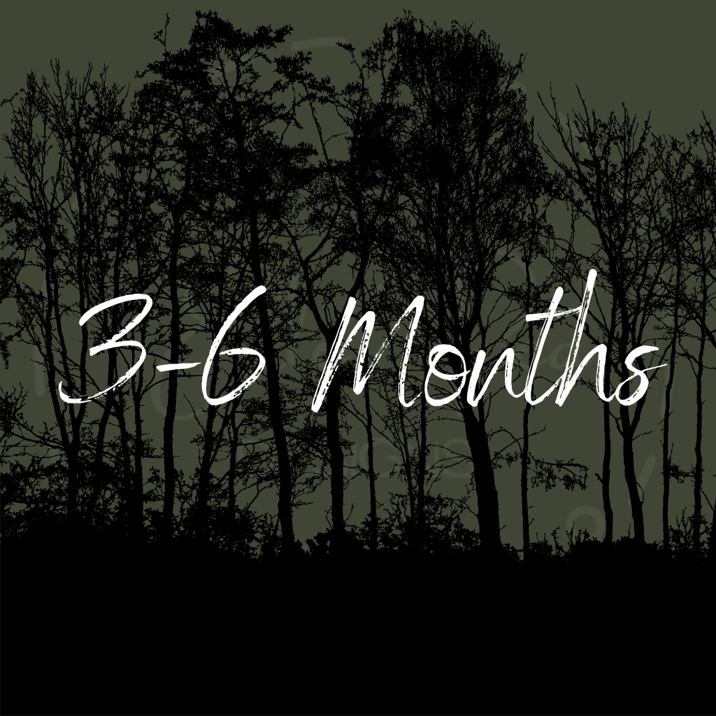 3-6 Month