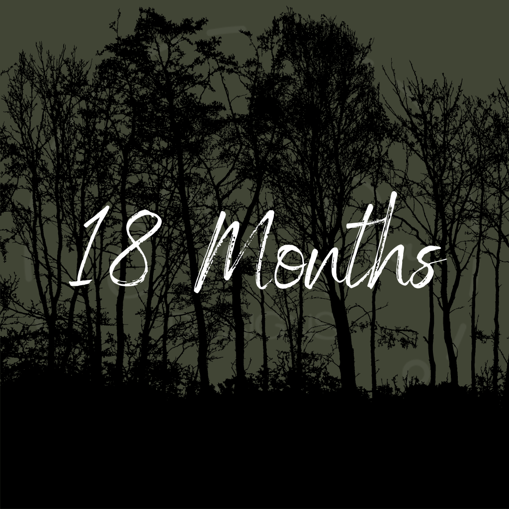 18 Month