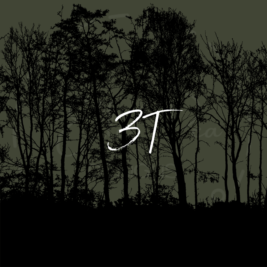 3T