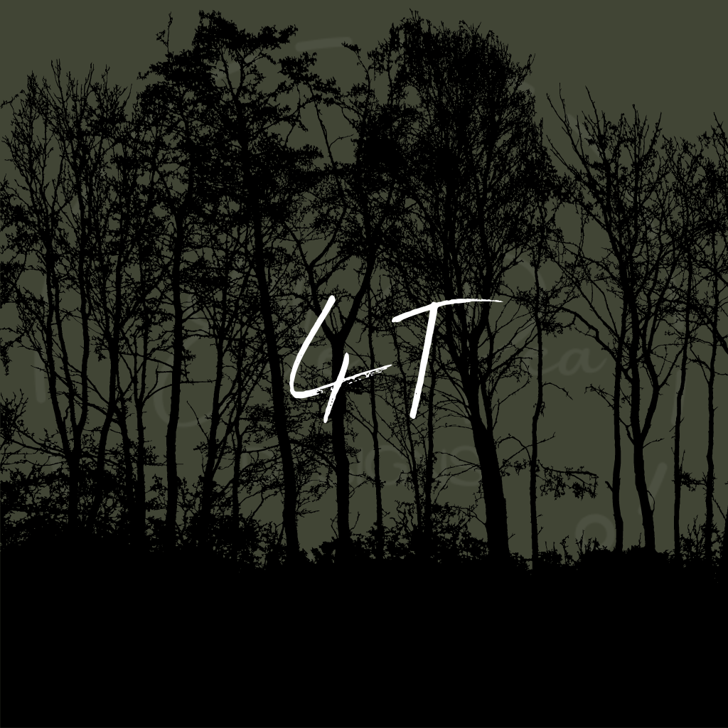 4T